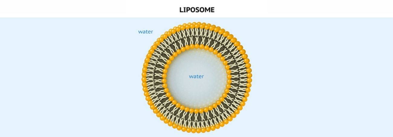 igf 1 lr3 dosage bodybuilding IGF-1 LR3 Peptide Therapy igf 1 lr3 dosage bodybuilding IGF-1 LR3 Peptide Therapy