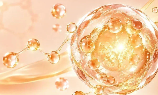 Liposomal Glutathione vs Gamma-glutamylcysteine: What Does the Evidence Show About Raising Cellular Glutathione?