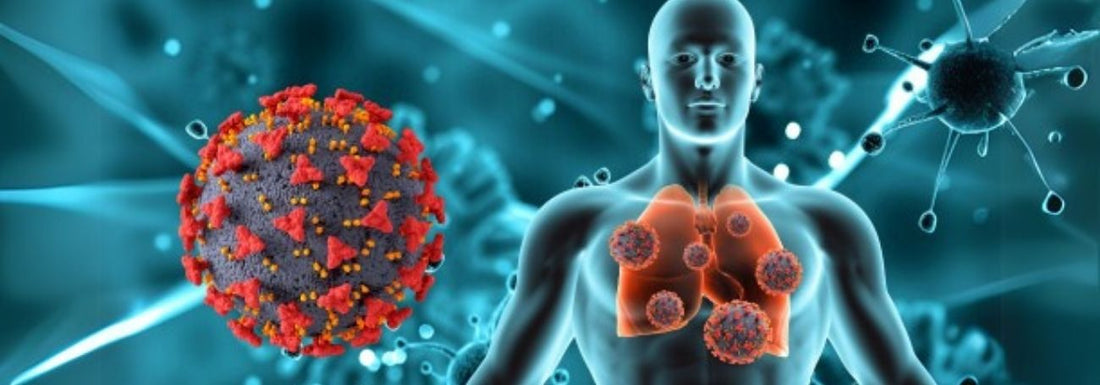 The Metabolic-Human Interface: Unveiling Glutathione’s Impact on Immunity