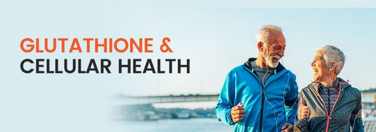 The importance of Glutathione in maintaining cellular health