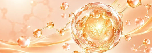 Liposomal Glutathione vs Gamma-glutamylcysteine: What Does the Evidence Show About Raising Cellular Glutathione?