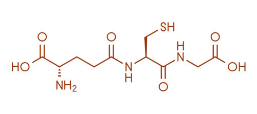 Cellular Glutathione Formula