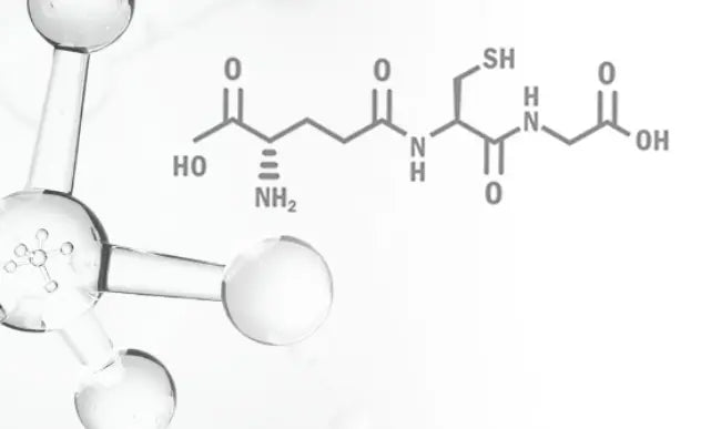 What is Glyteine