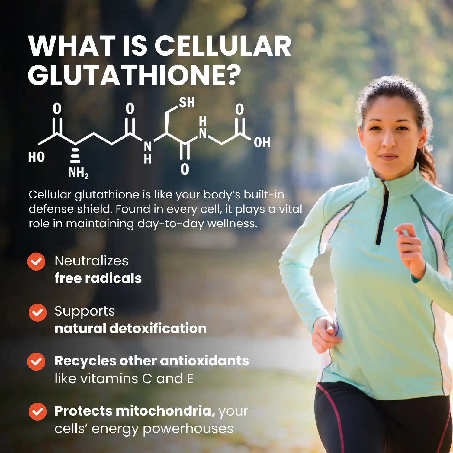 Glutathione Precursor Capsules 400mg - Glyteine | Continual-G Glutathione Precursor Capsules 400mg - Glyteine | Continual-G